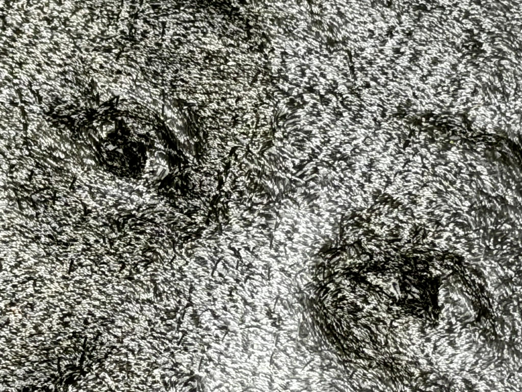 フォトステッチ作品例：テクスチャ表現